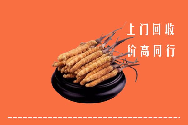 高价求购：阿荣旗回收散虫草
