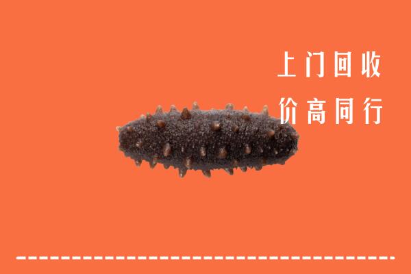 高价求购：阿荣旗回收海参